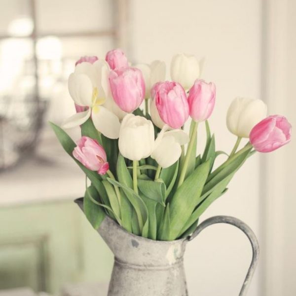 Tulipán szoba